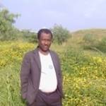 Seid Asefa Profile Picture