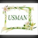 Usman Ali Profile Picture