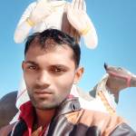 Bhavesh Solanki Profile Picture