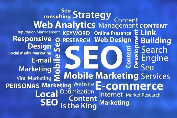 NU Ranking Solutions: Excellent SEO Services in San Antonio - carry News 24
